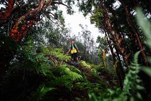 BIB: 
                            <button type="button" onclick="openModal(26205574)" class="btn btn-primary btn-sm float-right btn-popup" data-toggle="modal" data-target=".modal-high-quality">
                        <i class="fas fa-shopping-cart"></i> Add to Cart
                    </button>
                                            <button type="button" onclick="isThisMe(26205574, true)" class="btn btn-success btn-sm float-right btn-popup btn-isme hidden" data-toggle="tooltip" data-placement="bottom" title="นี่คือรูปของคุณใช่ไหม คลิกที่นี่เพื่อเอาเข้าอัลบั้ม">
                        <i class="fas fa-plus"></i> Add to album
                    </button>
                    <button type="button" onclick="isThisMe(26205574, false)" class="btn btn-warning btn-sm float-right btn-popup btn-isnotme hidden">
                        <i class="fas fa-ban"></i> Remove from album
                    </button>